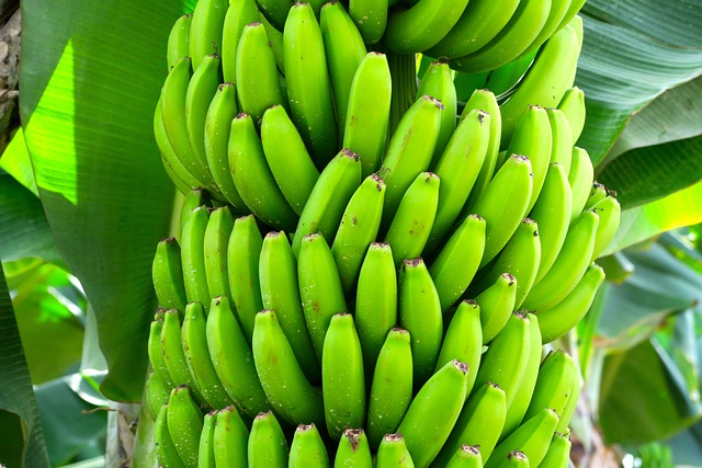 banana